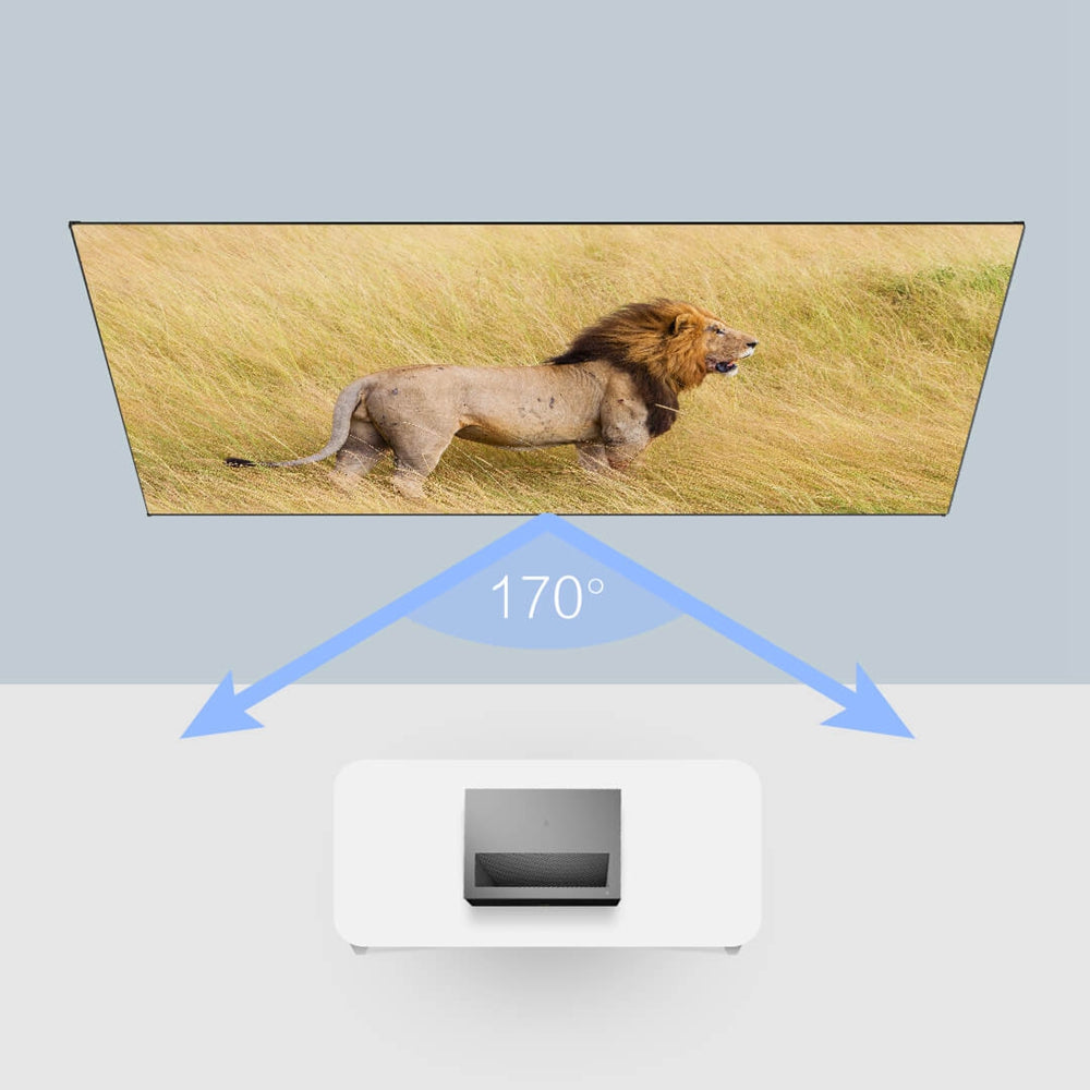100inch Screen Projector - Sky Fox Tech